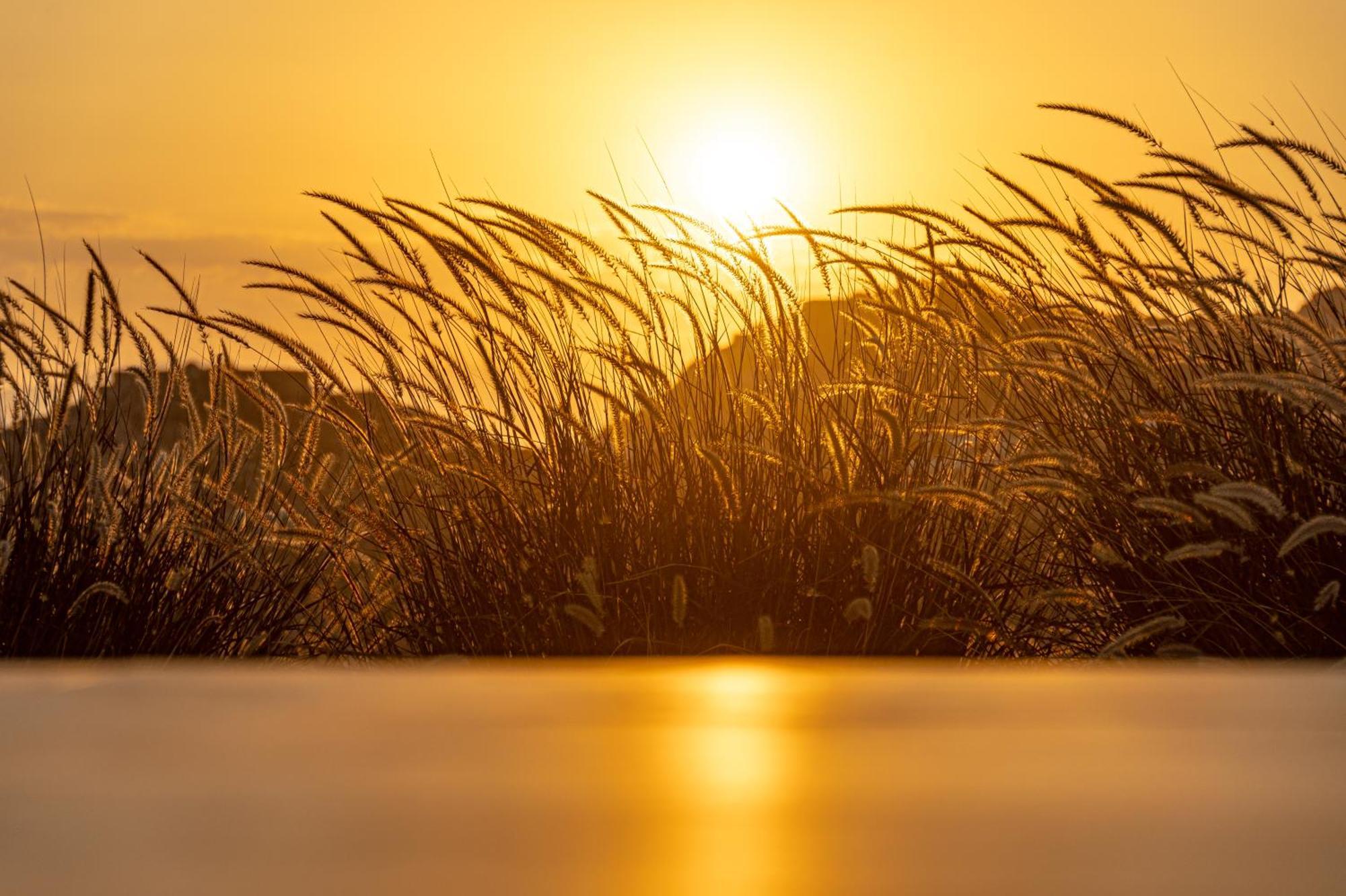 Sunshine Villa Mikri Vigla Bagian luar foto