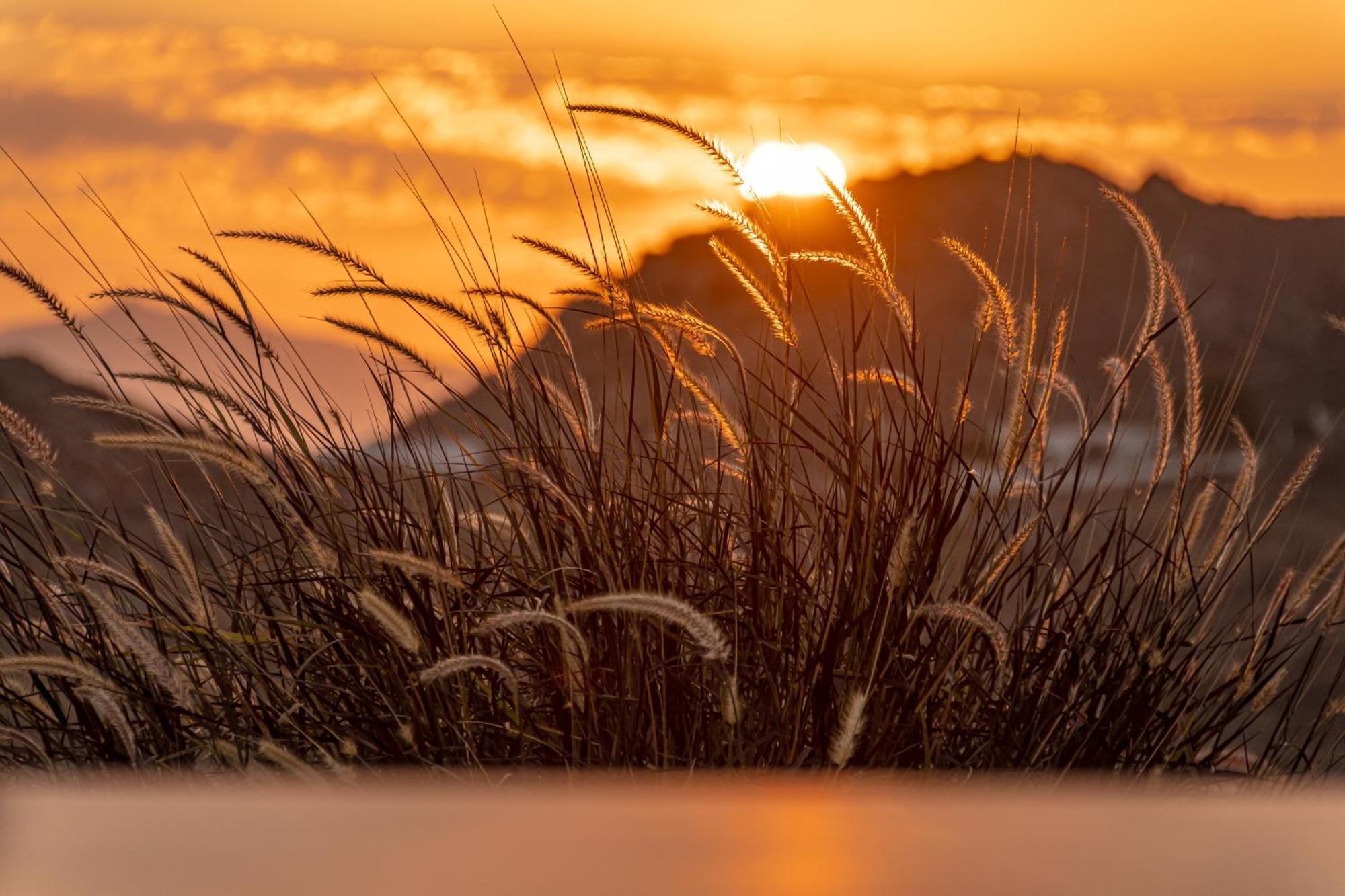 Sunshine Villa Mikri Vigla Bagian luar foto